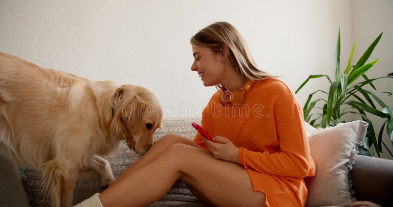 A girl in an orange sweater sits on a sofa and chats on a red smartphone, her dog approaches her and the girl&#x27;s