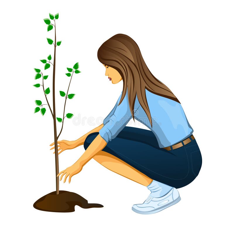 Girl planting a tree stock illustration. Image of painting 33622174