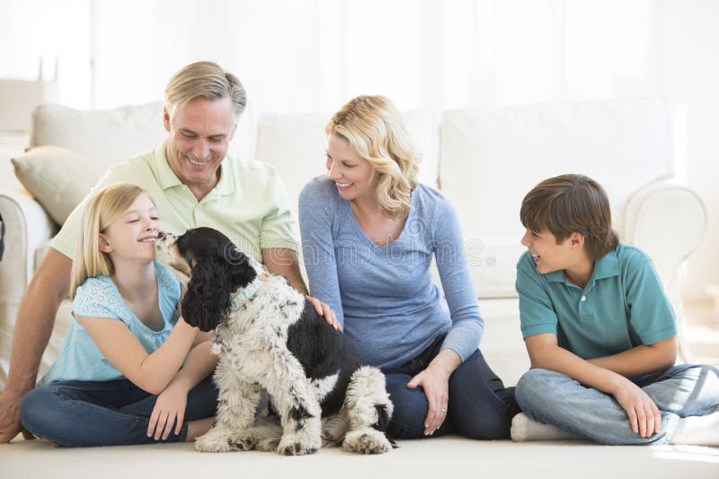 Fata se joacă cu câinele în timp ce familia se uită la ea royalty free stock photography