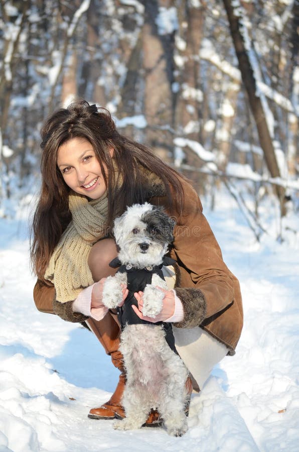 Girl Playing with Her Little Dressed Dog Stock Photo - Image of care ...