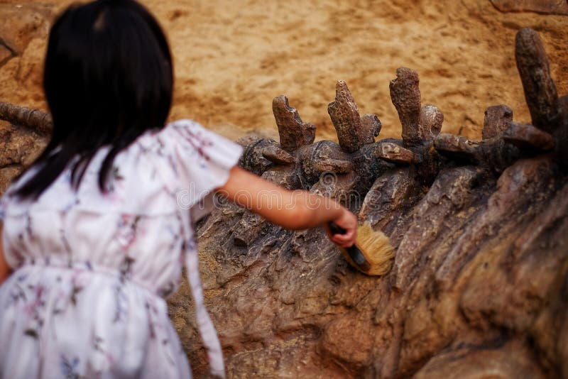 A girl playing in a sandbox with a modeled dinosaur fossil, brushing sand off the fossil royalty free stock photo A girl playing in a sandbox with a modeled dinosaur fossil, brushing sand off the fossil royalty free stock photo