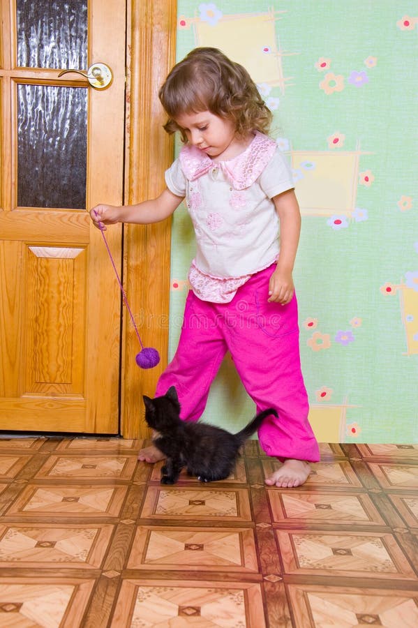The girl plays with a kitten stock photo