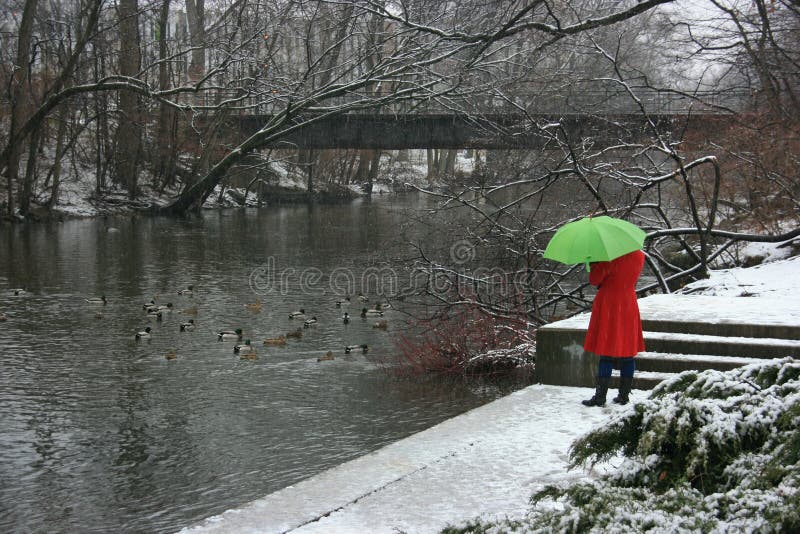 Girl in a Red Coat by the River Stock Photo Image of person, mallards 22594958