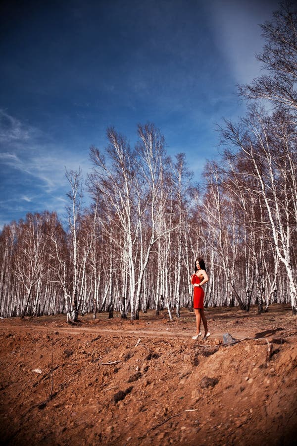 Girl in Red Dress in Birch Grove