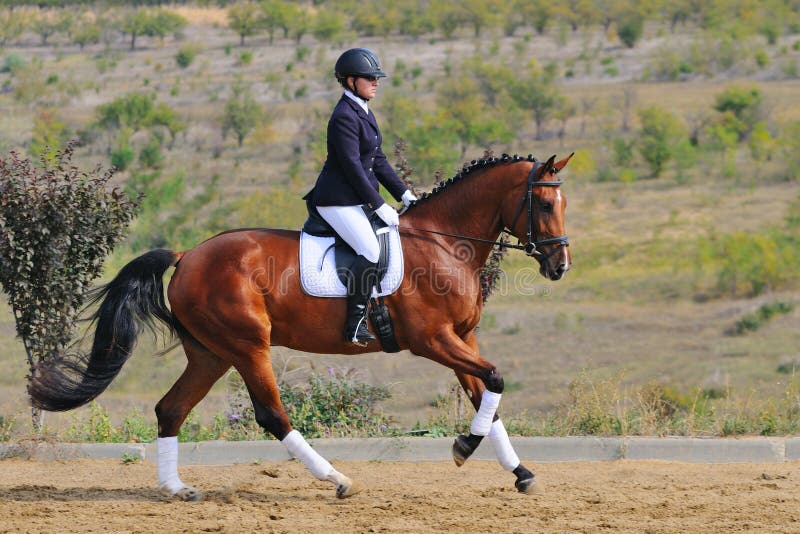 Girl riding bay dressage horse