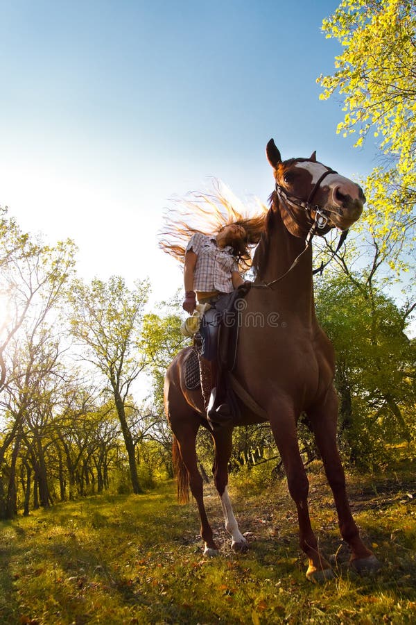 Girl riding a horse stock image. Image of blue, care 21810465