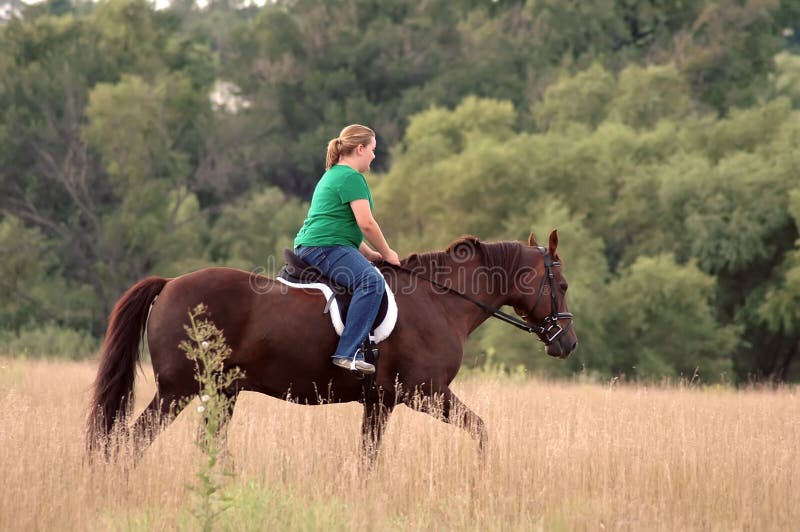 Ssbbw Horse