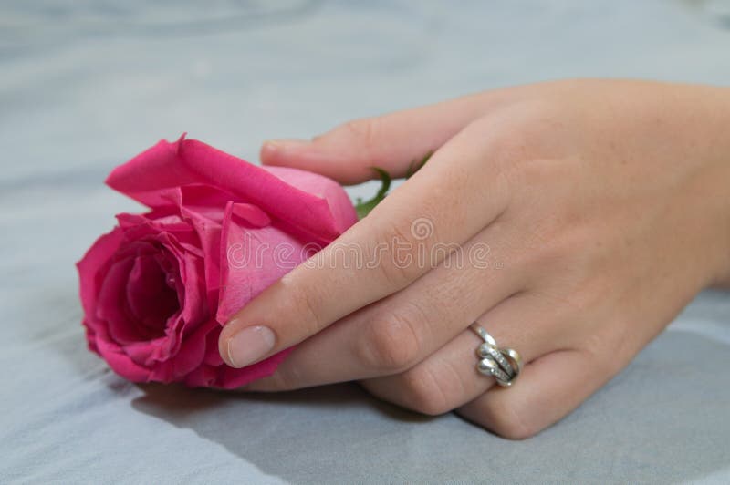 Girl s hand on pink rose stock image. Image of petal 18280785