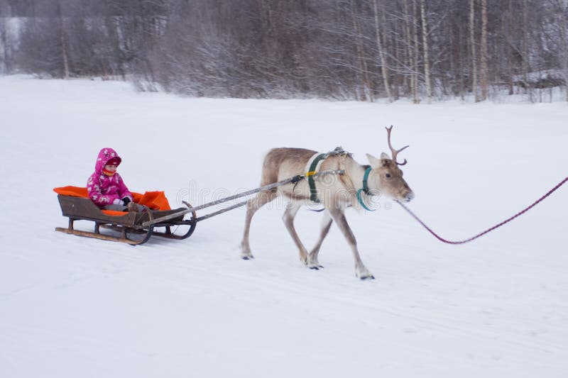 Girl in a sledge