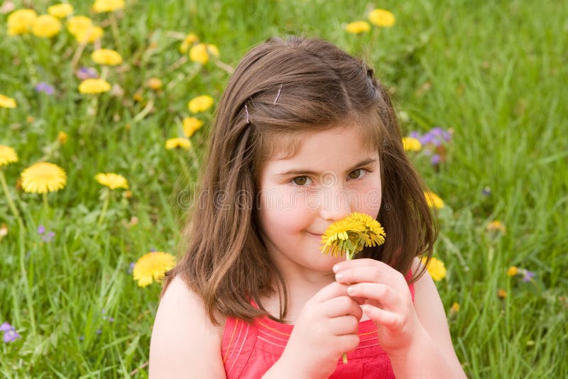 Girl Smelling Flower stock images Girl Smelling Flower stock images