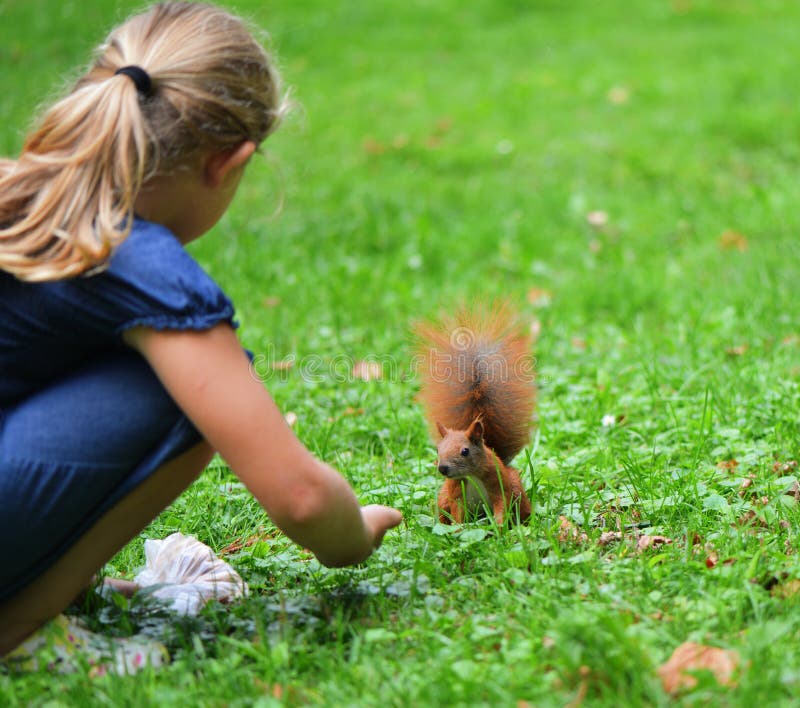 Girl with squirrel. stock image. Image of eating, child 34208687