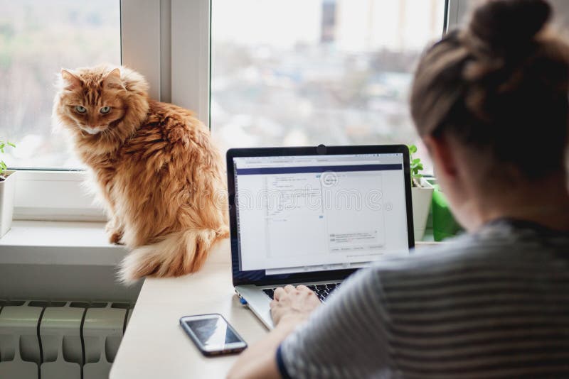 Girl student freelancer working at home on a task, the cat is si