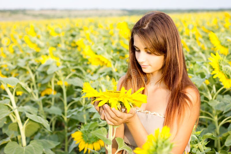 Girl in Sunflower Field Holding Stock Photo Image of beautiful, leaf