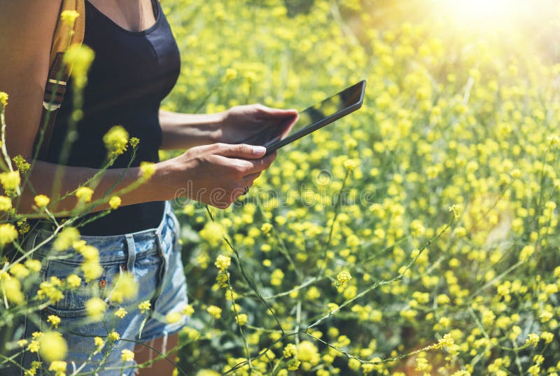 Girl Traveller mit Gadget auf gelbem Blütenhintergrund Fotografen von weiblichen Händen schauen sich Sonnenfleck auf der Handkame stockfotografie