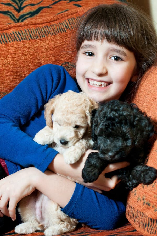 Girl with two puppies stock image. Image of beautiful - 113059165