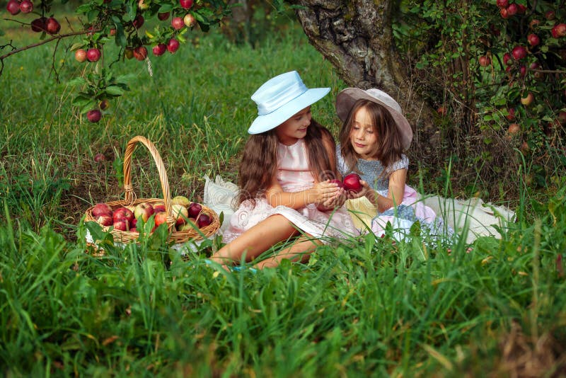 Girl two sisters harvest garden trees red pink hat basket picking apples green grass background royalty free stock photo Girl two sisters harvest garden trees red pink hat basket picking apples green grass background royalty free stock photo