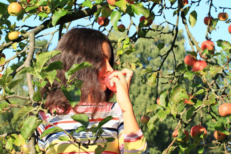 Girl under apple tree biting red apple stock photos Girl under apple tree biting red apple stock photos