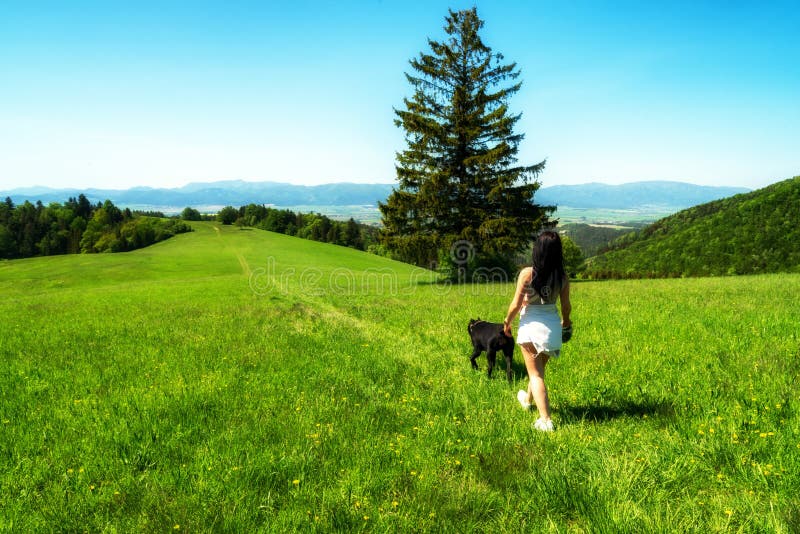 Dievča na prechádzke so psom na zelenej lúke