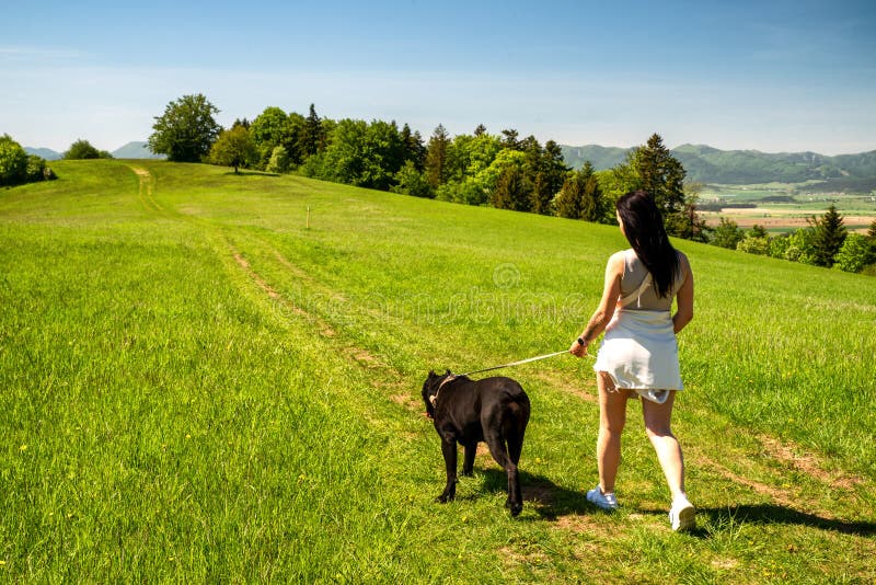 Dievča na prechádzke so psom na zelenej lúke
