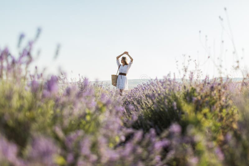 Girl Walking in Lavender Fields, Beautiful Blooming Lavender Field