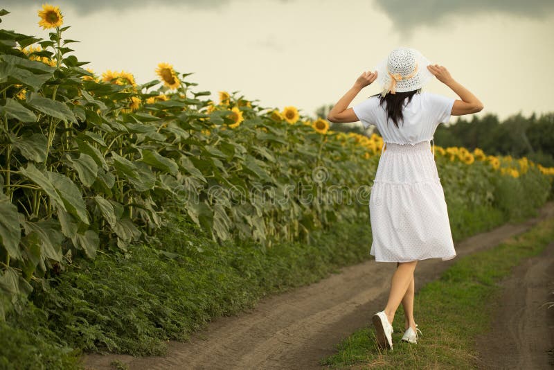 A girl walks on a field with sunflowers stock photo A girl walks on a field with sunflowers stock photo