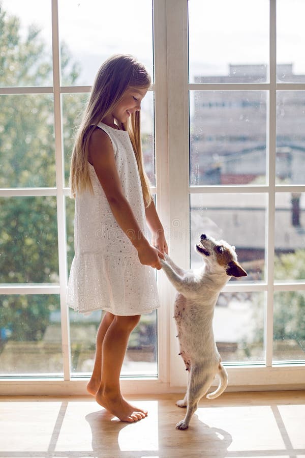Girl in a white dress with dog royalty free stock photography Girl in a white dress with dog royalty free stock photography