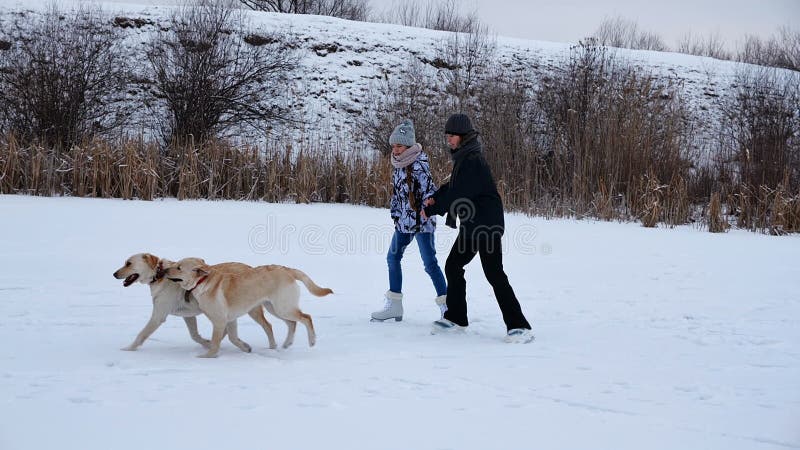 Girl and woman enjoy ice skating on snowy lake with their dogs