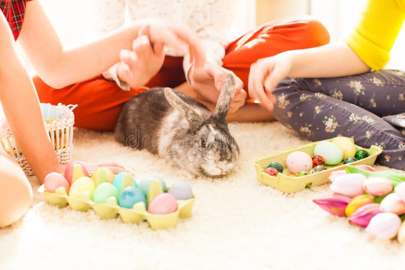 Girlfriends Playing With Rabbit Stock Image Image Of Adorable Carpet