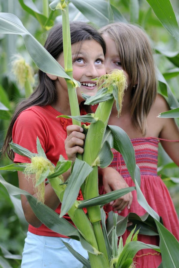 Girls In Corn Field Stock Image Image 10281591