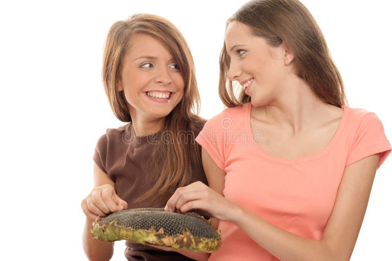 Girls Eating Seeds Of Sunflower Stock Photo Image 11240272