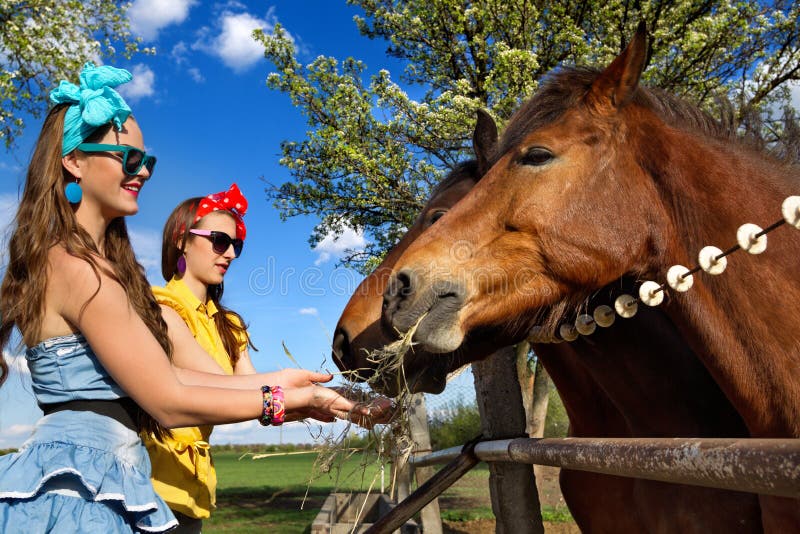 Girls feeding her horses royalty free stock images Girls feeding her horses royalty free stock images