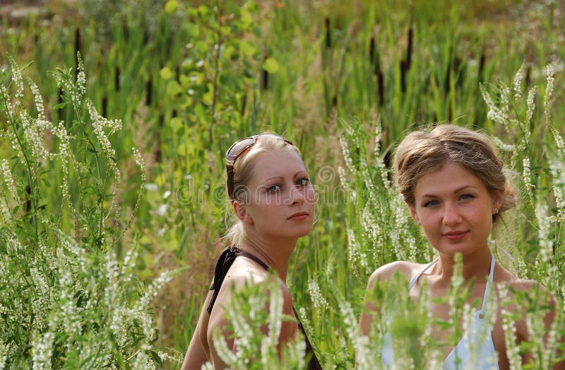 Girls between high grass stock photo
