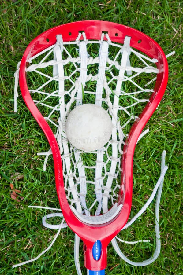 Girls Lacrosse Head and Grey Ball on Grass Stock Image Image of sport