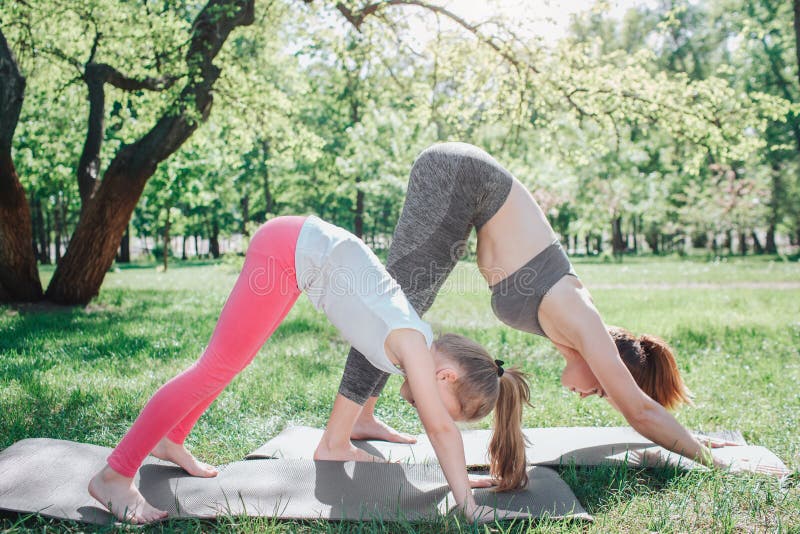 Girls are standing in dog position. They are stretching and keeping balance. Girls are concentrated on excercise. Yoga