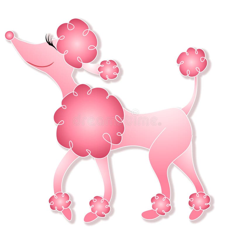 Ilustraciones presente chicas rosa caniche esponjoso extendido.