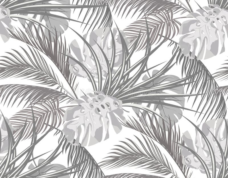 giungla Fondo in bianco e nero con le foglie delle palme tropicali, mostri, agave seamless Isolato su bianco royalty illustrazione gratis giungla Fondo in bianco e nero con le foglie delle palme tropicali, mostri, agave seamless Isolato su bianco royalty illustrazione gratis