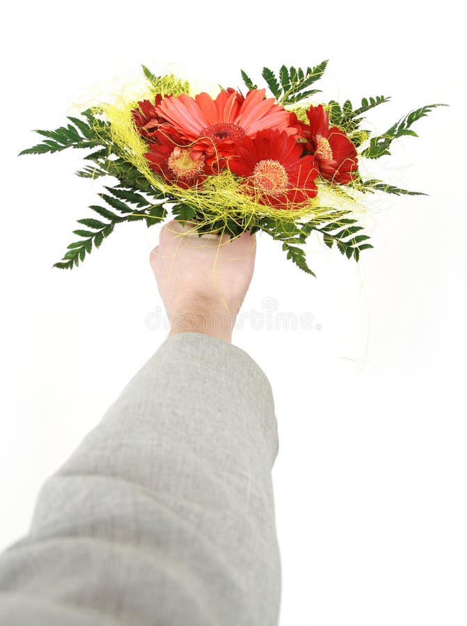 Give flowers stock photo. Image of hold, gift, petals 8396850
