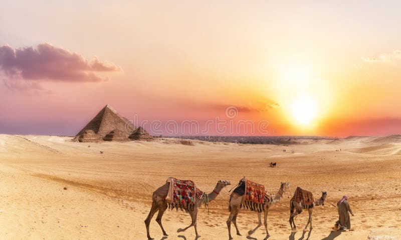 Giza desert scenery with Pyramids and camels at sunset