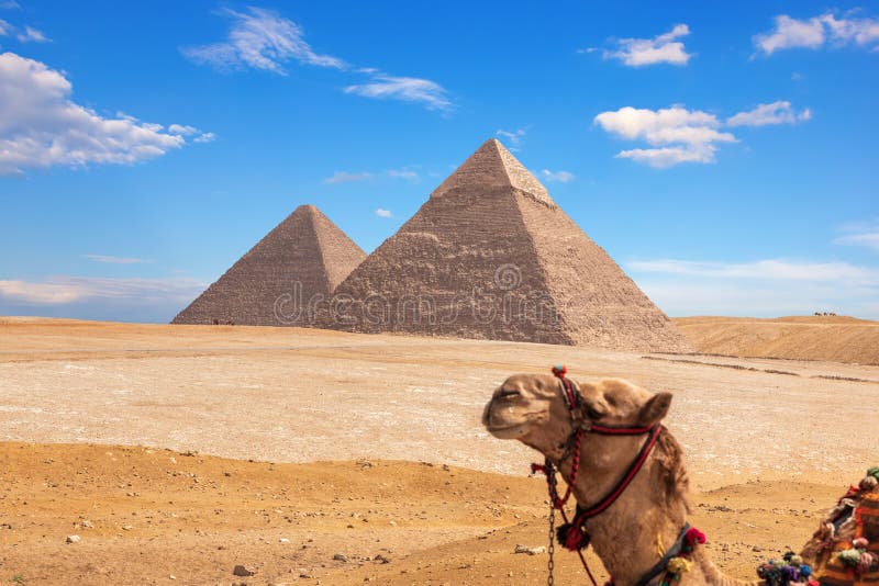 Giza Pyramids and a funny camel, Egypt