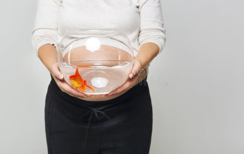 Gluckliche Schwangere Frau Die Ein Fishbowl Mit Einem Goldfisch In Ihrem H Halt Stockfoto Bild Von Schwangere Goldfisch