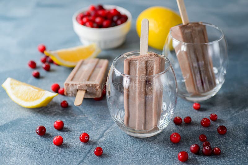 Glaces à l'eau de chocolat avec une canneberge images libres de droits Glaces à l'eau de chocolat avec une canneberge images libres de droits