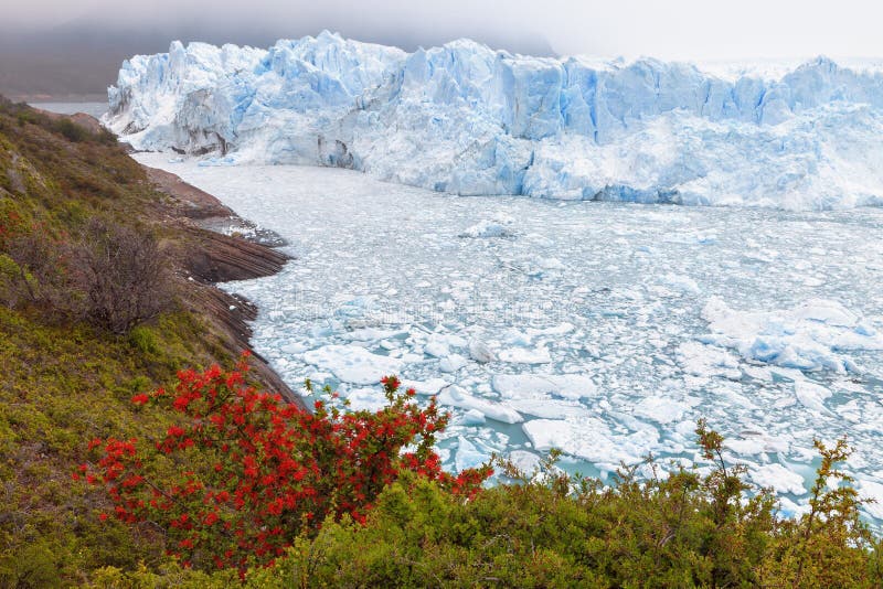 Glaciar de Perito Moreno, EL Calafate, la Argentina imagen de archivo libre de regalías Glaciar de Perito Moreno, EL Calafate, la Argentina imagen de archivo libre de regalías