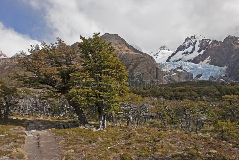 Glaciar Piedras Blancas, Patagonia, Argentina