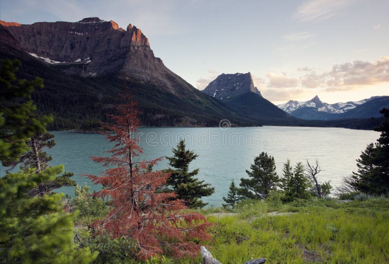 Glacier National Park royalty free stock image