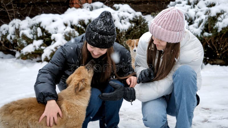 Glada tonårsflickor som leker med hunden på vintern i snö. Barn med djur i spel med sällskapsdjur arkivbild