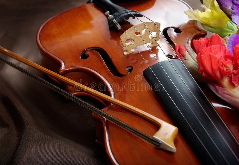 Gladiolus and violin. violin and flowers on a silk background. royalty free stock images Gladiolus and violin. violin and flowers on a silk background. royalty free stock images