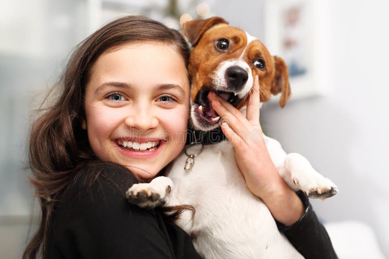 gladlynt hund arkivfoto gladlynt hund arkivfoto