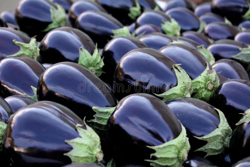 Glansig aubergine