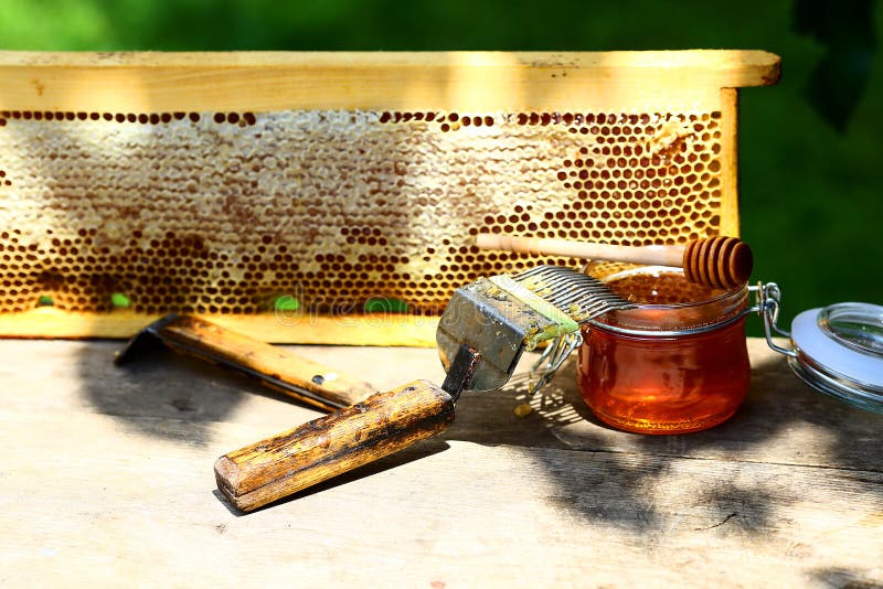 Glas frischer Honig in einem Glasgefäß, Imkereiwerkzeuge draußen Rahmen mit Bienenwachsstruktur voll des frischen Bienenhonigs in lizenzfreies stockbild Glas frischer Honig in einem Glasgefäß, Imkereiwerkzeuge draußen Rahmen mit Bienenwachsstruktur voll des frischen Bienenhonigs in lizenzfreies stockbild