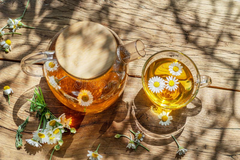 Glas från örtte chamomile tea och chamomile-blommor nära teapot. Överkant royaltyfria bilder
